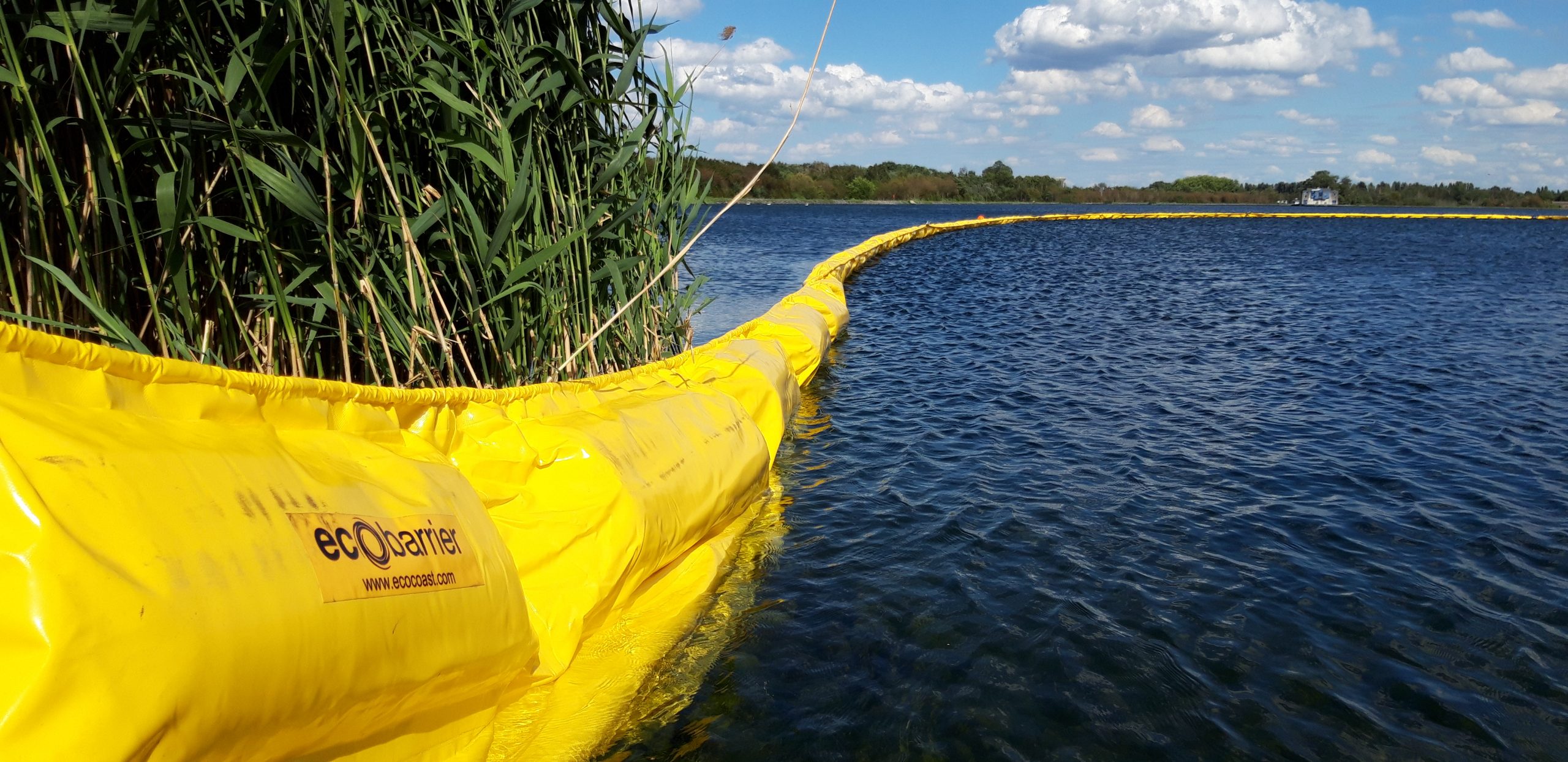 Breaking boundaries: Hoe Ecocoast zich inzet om de verspreiding van dodelijke algenbloei in te dijken