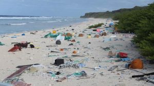 Bolina contributes to International Coastal Cleanup Day
