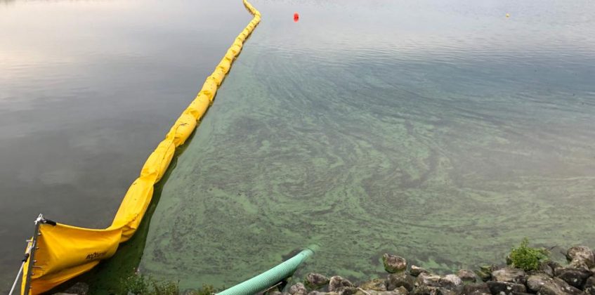 Oliebarrière ESFB van Ecocoast tegen blauwalgen voor Water-Link